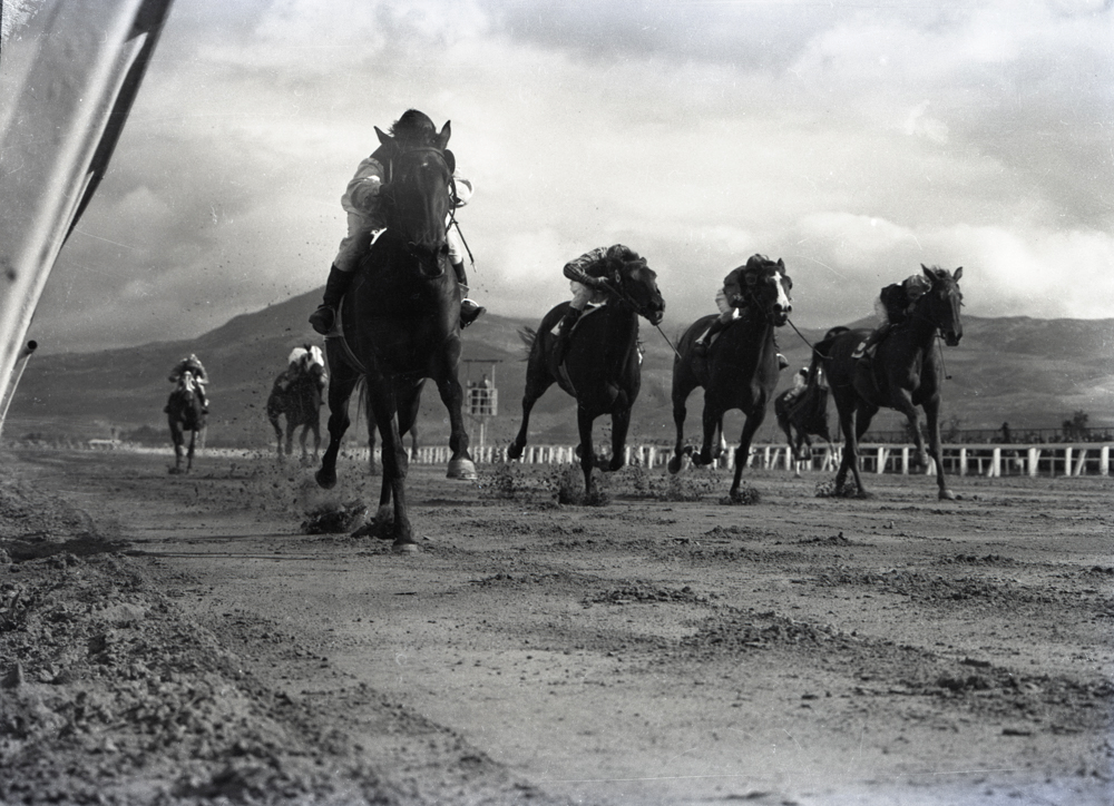 Hípica, 1956. Hipódromo de Techo. La hípica fue también parte de las actividades deportivas más registradas por Caicedo. Fotografiar esta actividad le permitía desplegar su fascinación por la interacción entre animal y hombre, por el movimiento, el vértigo y la captura del 'momento decisivo'